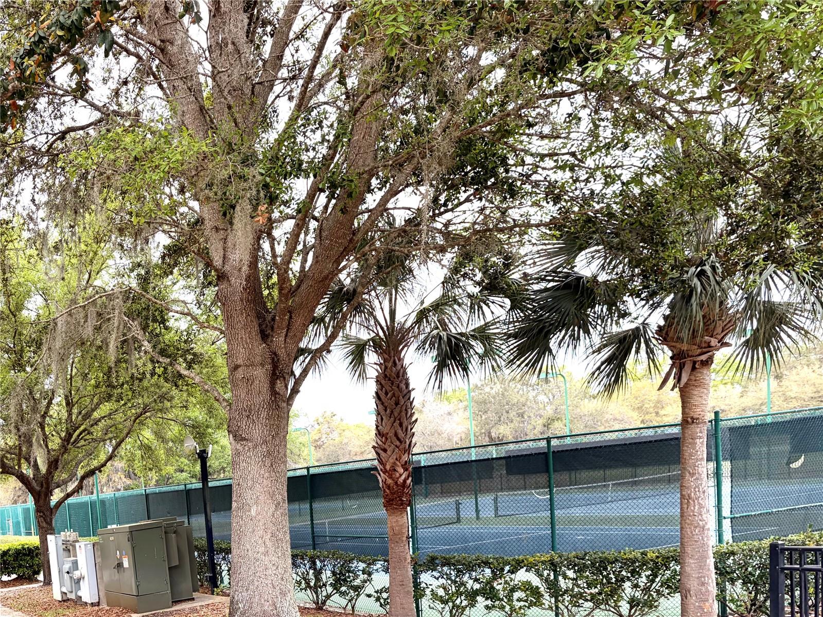 STONEYBROOK HILLS - Residential