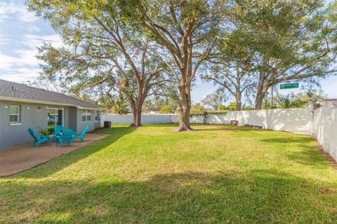 A home in TAMPA