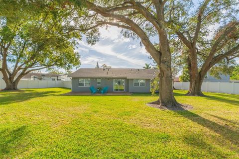 A home in TAMPA