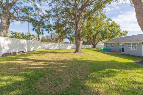 A home in TAMPA