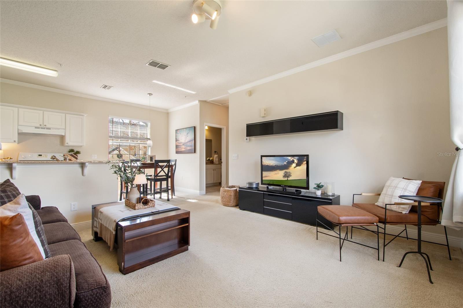 317 SOUTHERN PECAN CIRCLE 102