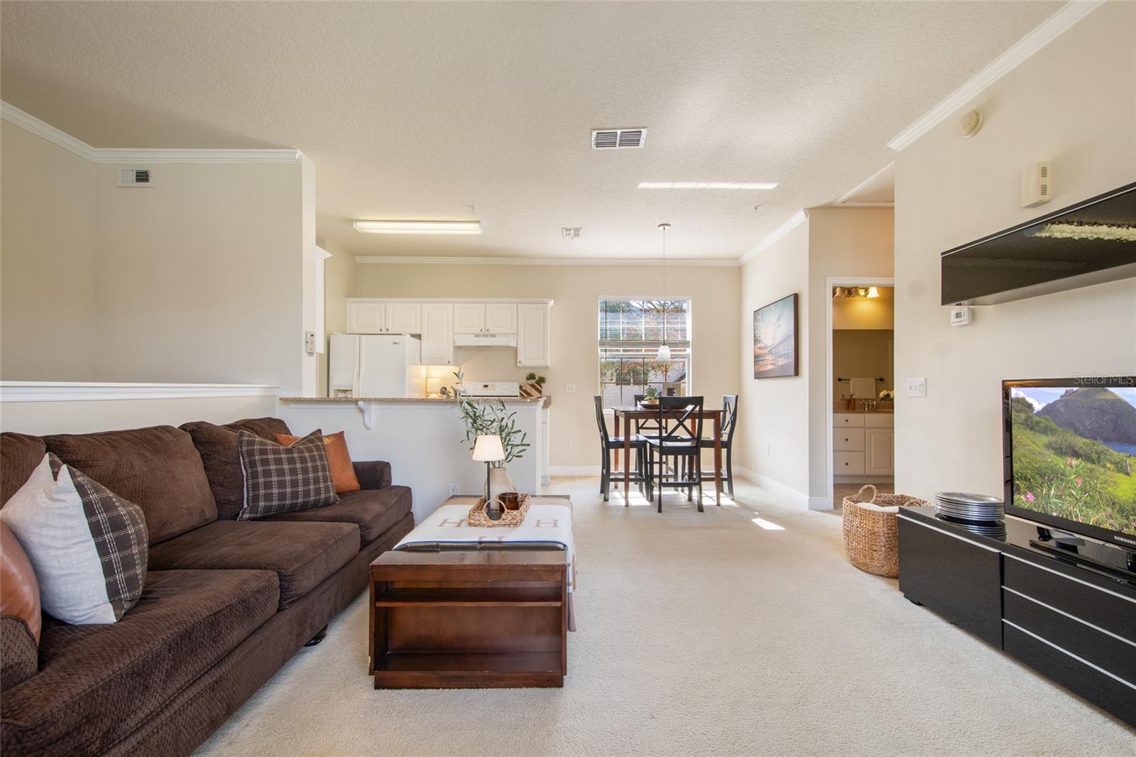 317 SOUTHERN PECAN CIRCLE 102