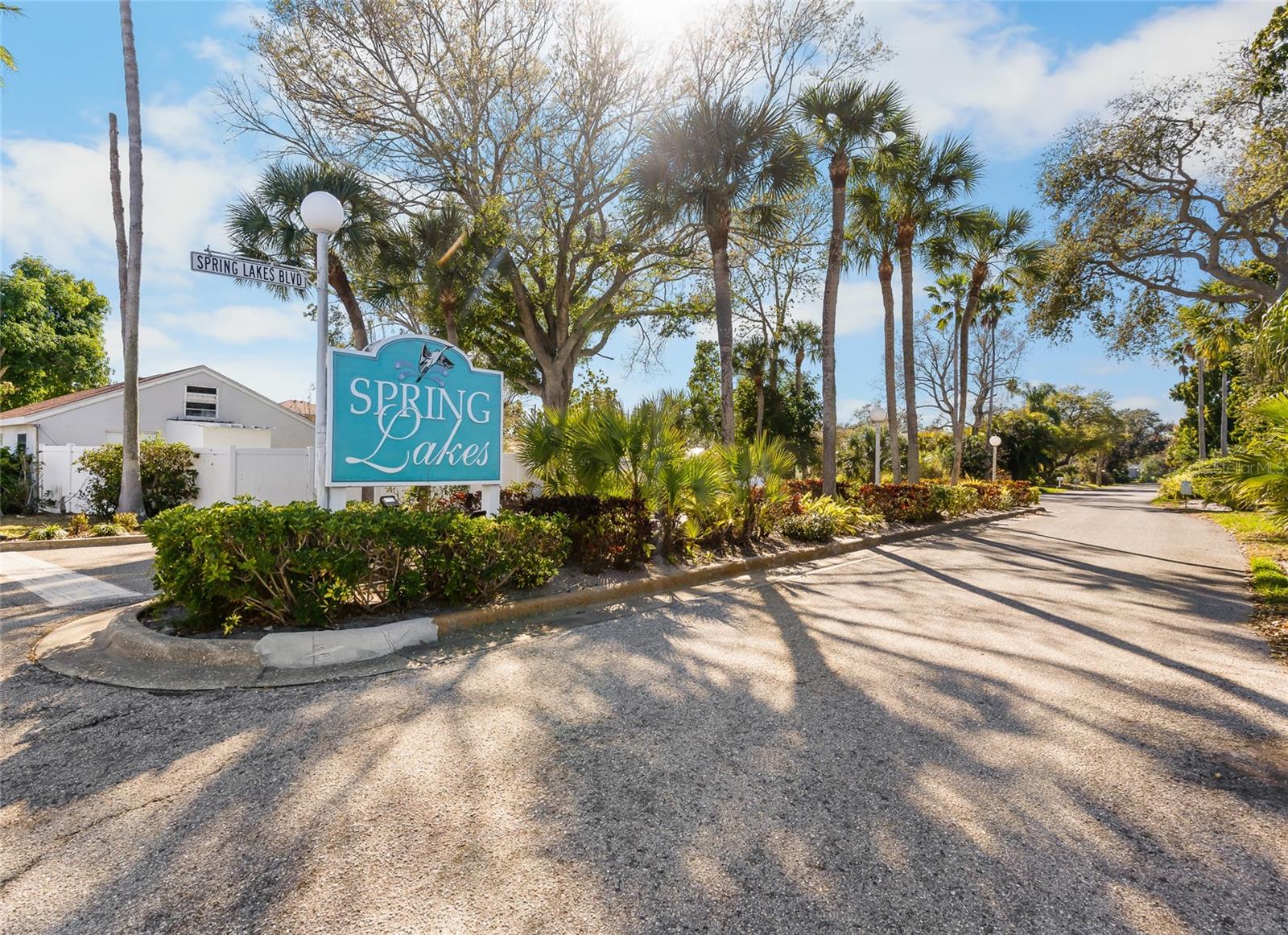 SPRING LAKES III - Residential