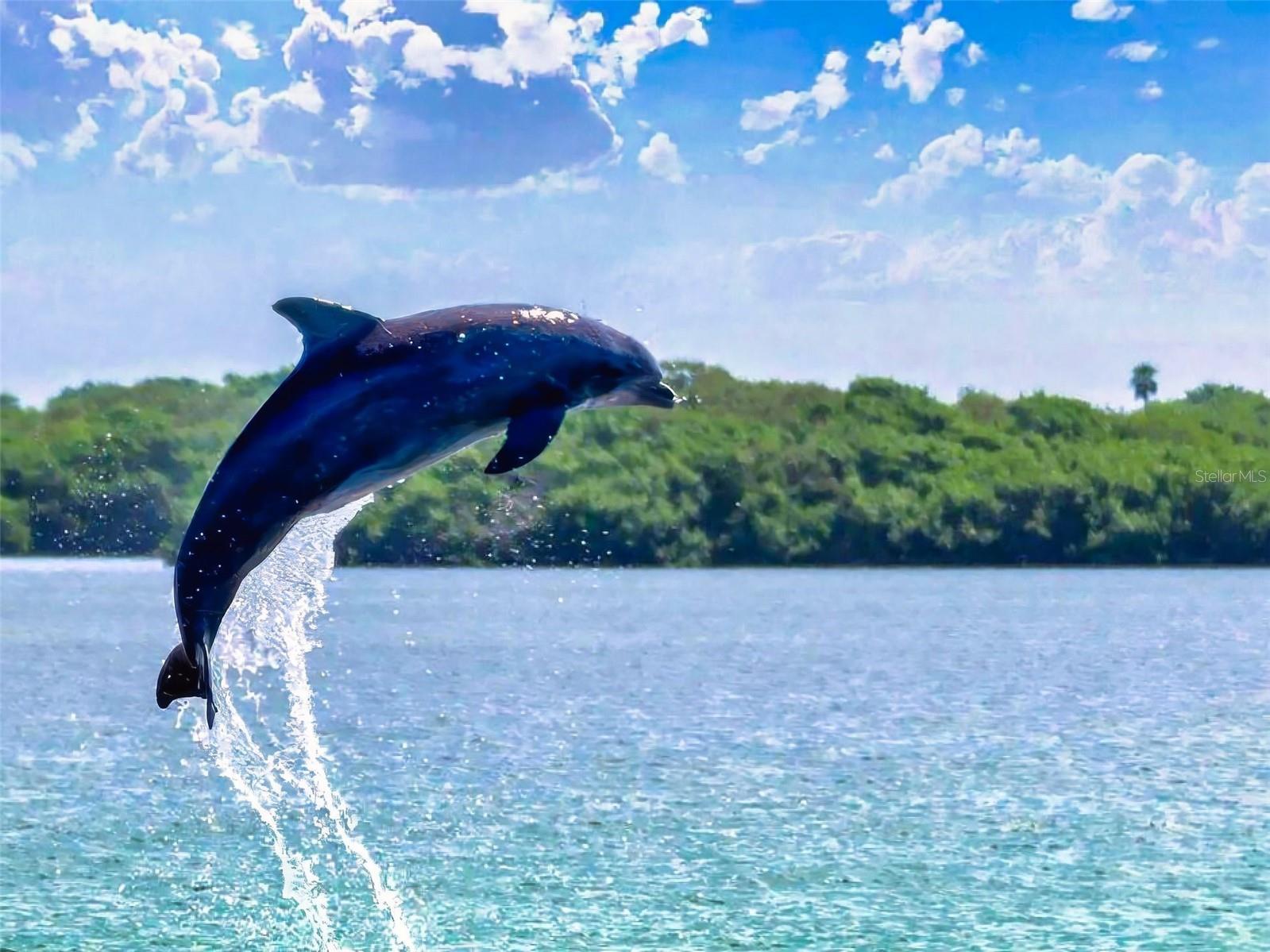 BOUCHELLE ISLAND CONDO - Residential