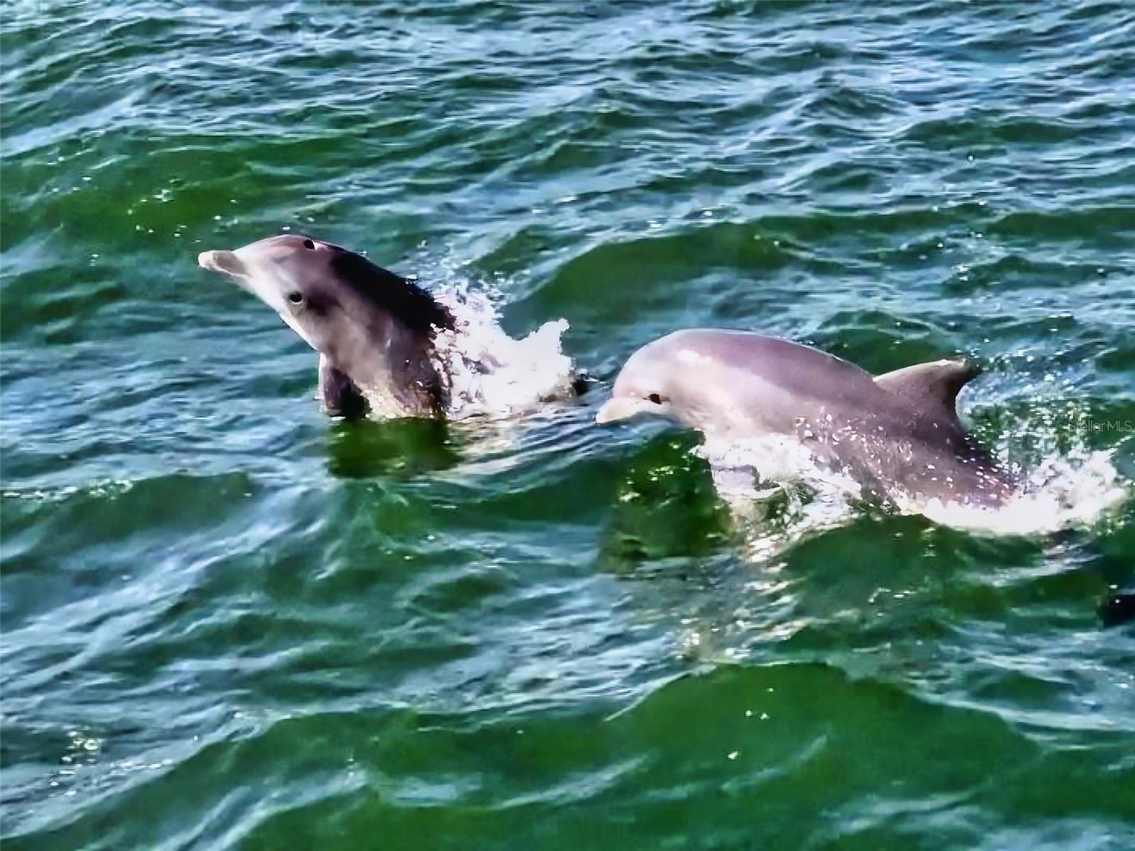 BOUCHELLE ISLAND CONDO - Residential