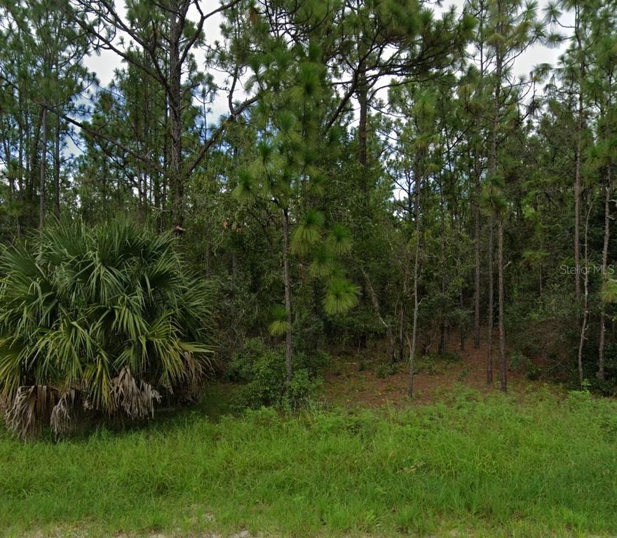 Own 2.40 acres of peaceful Florida land with Lot 33 in the Hernando Highlands Subdivision in Spring Hill, featuring old-growth trees, natural brush, and a gentle slope that offers a beautiful setting for a future homesite or investment. Spring Hill is loved for its relaxed Gulf Coast lifestyle, nearby Weeki Wachee Springs, kayaking and paddleboarding on the Weeki Wachee River, and easy access to parks, golf, and nature trails. Daily conveniences, shopping, and dining are all close by, while the larger metro area of Tampa is roughly an hour away for work, entertainment, and major airports. This property offers privacy, space, and natural Florida charm that's getting harder to find.