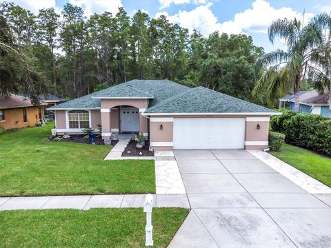 Photo of 9308 Bearcat Road, New Port Richey, FL 34655 (MLS # W7878703)