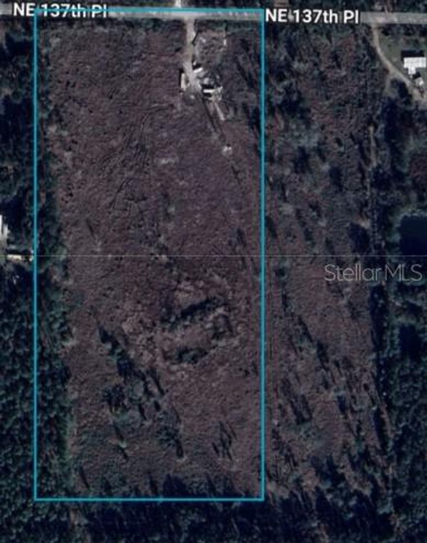 Bring your horses and build your Dream Home on this beautiful 16 Acres of lovely trees.  Zoned A1.  Ready to build on. Located in a private setting. You can have Horses, cattle, donkeys, chickens, etc. You can build your Barn or Garage/workshop.  Site-built homes only. No HOA fees. Shopping for essentials is only 20 minutes away and Hardware store & Building supplies only 8 miles down the road. Ocala is home to the World Equestrian Center and it is located about a 30 minute drive.  Pond of 2.5 acres is wetlands. Come and take a look at this lovely Community.  You'll be glad you did.  *Adjoining 8 acres could also be available making the property 24 acres* (Seller is a licensed GC and can build out the property for buyer if desired)