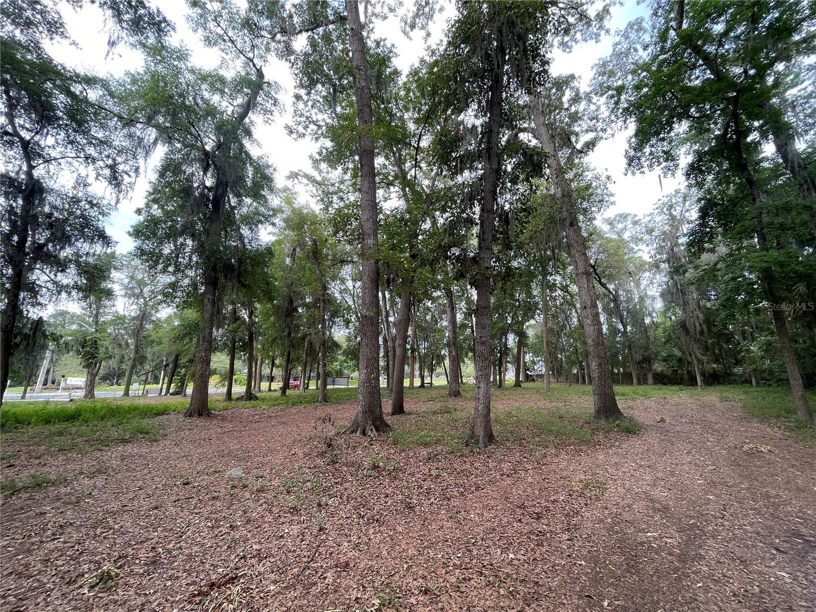 WOOD RDG - Land