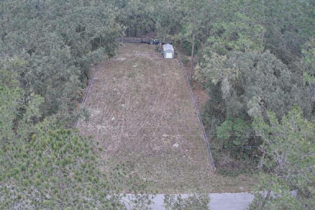Photo of 33469 August Avenue, Webster, FL 33597 (MLS # L4958491)