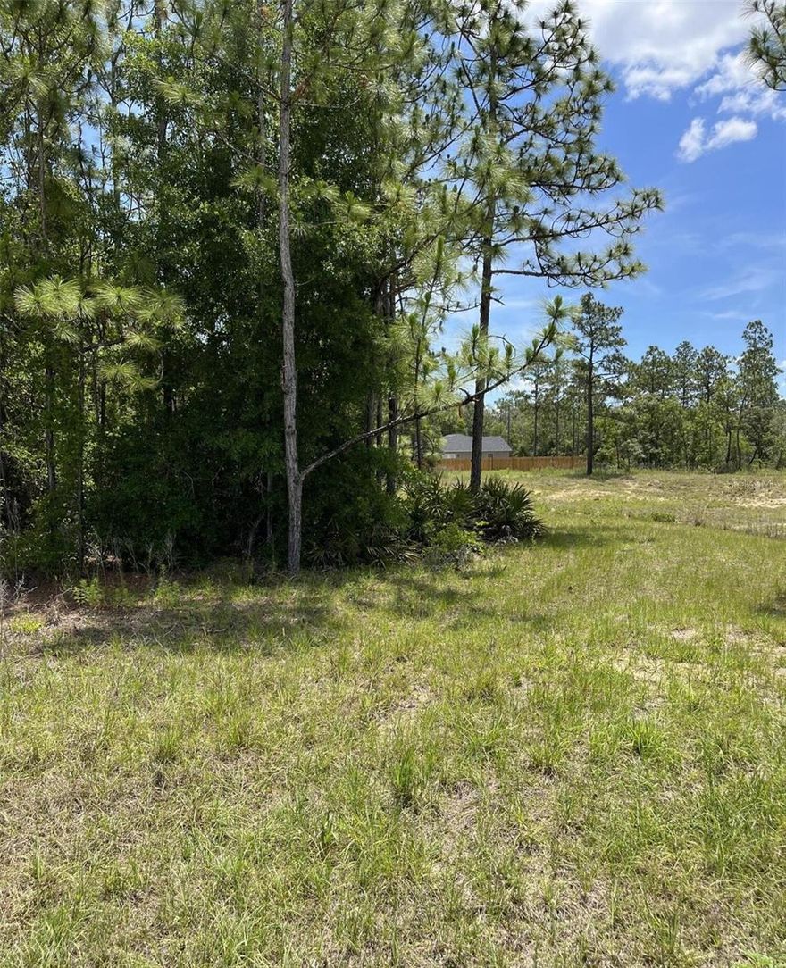 This lot has some beautiful grandfather oaks and lots of privacy. Neighborhood is
peaceful yet close to shopping, banks and restaurants For the nature enthusiast Chasowitzka is nearby as well as Weeki Wachee River and preserve for
kayaking or hiking or watch beautiful sunsets from Bayport. It is a short distance to get to the Suncoast Parkway to Tampa. Come build your dream home on this
pretty lot. A perfect place to raise children or retire!