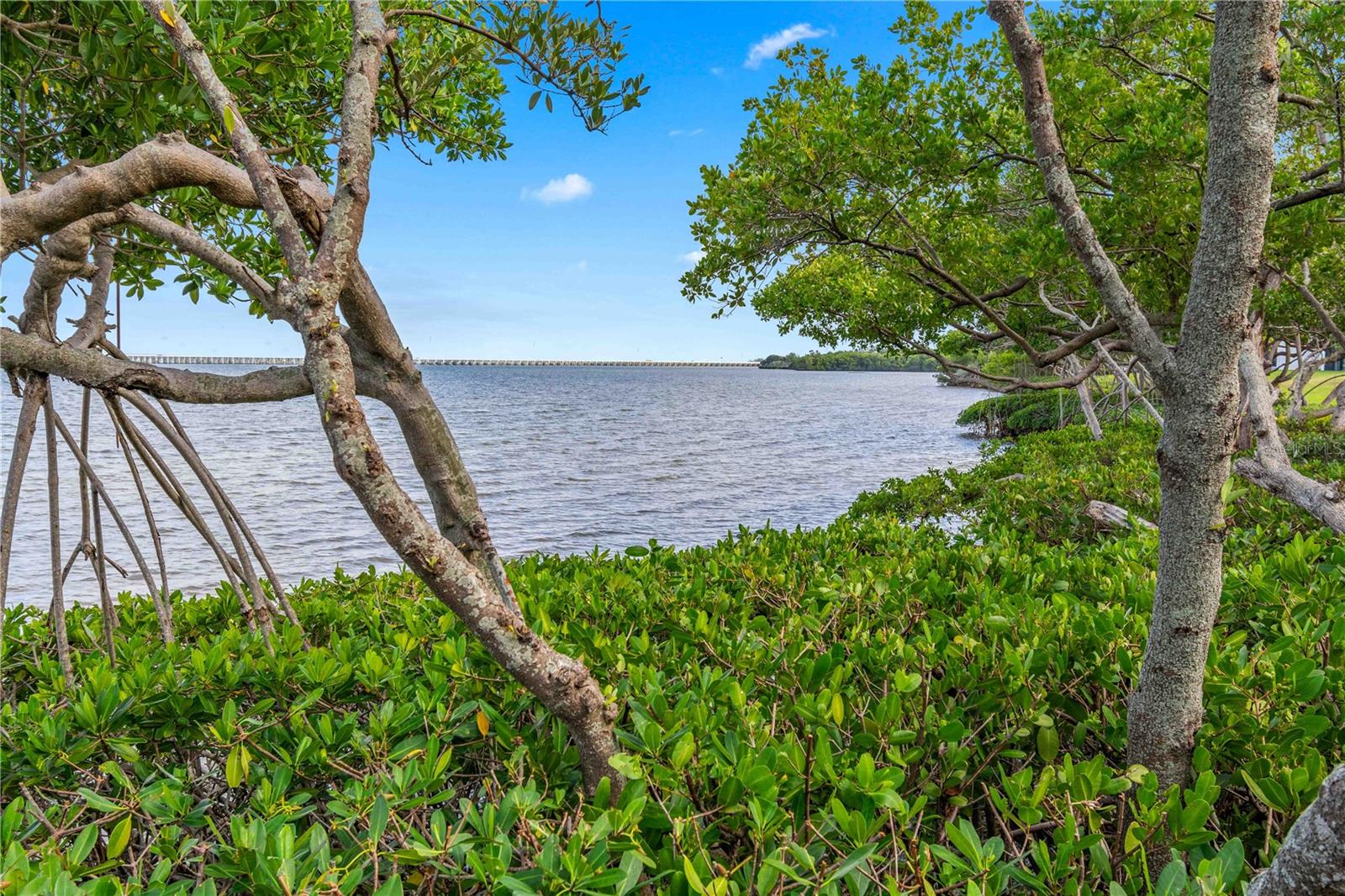 CARIBAY CONDO - Residential