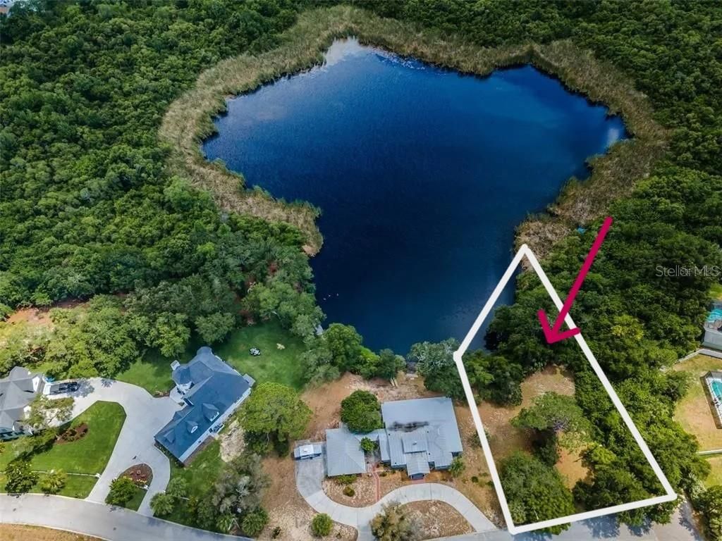 Photo of 1105 Ashland, Tarpon Springs, FL 34689 (MLS # TB8507492)