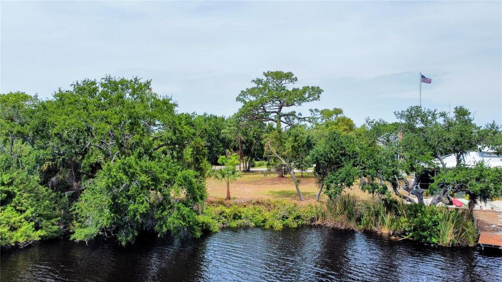 Photo of 1105 Ashland, Tarpon Springs, FL 34689 (MLS # TB8507492)