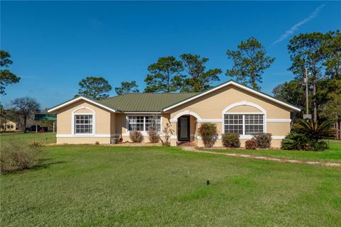 Photo of 6850 SE 143rd Court, Morriston, FL 32668 (MLS # OM693525)