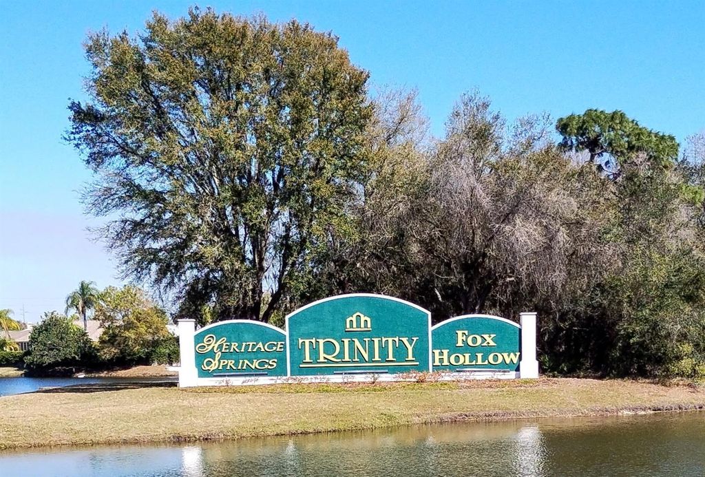 Photo of 9657 Venturi Drive, Trinity, FL 34655 (MLS # TB8475369)