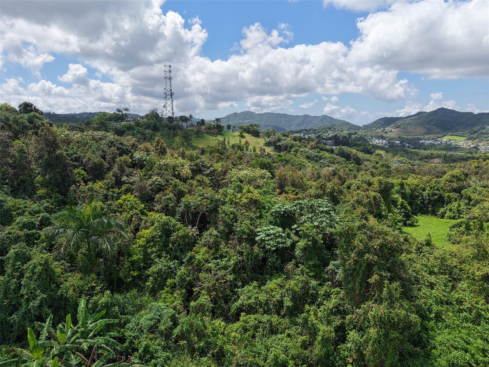 PASTO WARD - Land