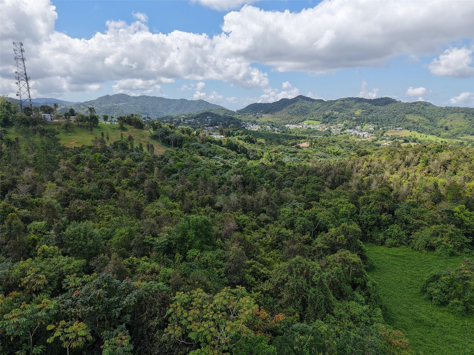 PASTO WARD - Land
