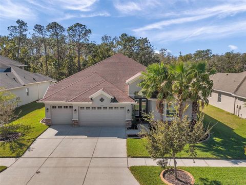 Photo of 27200 Hawks Nest Circle, Wesley Chapel, FL 33544 (MLS # TB8326314)