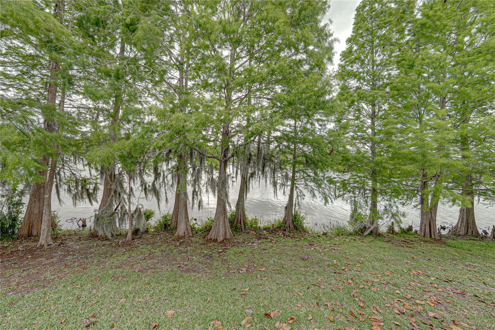 VILLAGES AT BRIDGEWATER VILLAGE 07 - Residential