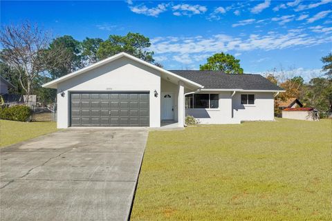 Photo of 12203 Lamont Drive, Spring Hill, FL 34608 (MLS # TB8466357)