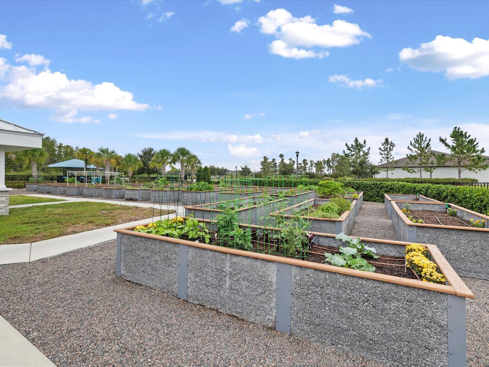 DEL WEBB BEXLEY PH 1 - Residential
