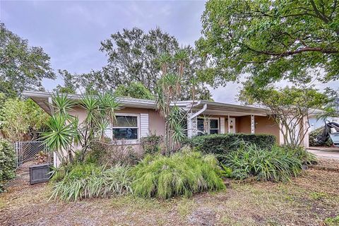 A home in DUNEDIN