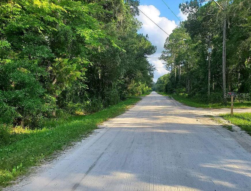 Photo of 1763 Sherwood Street, Bunnell, FL 32110 (MLS # A4698477)