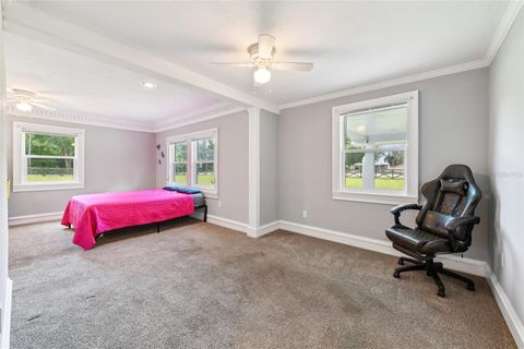 Tiny photo for 18715 County Road 455, Clermont, FL 34715 (MLS # TB8420707)
