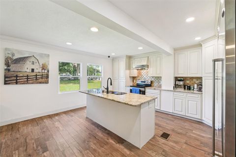 Tiny photo for 18715 County Road 455, Clermont, FL 34715 (MLS # TB8420707)