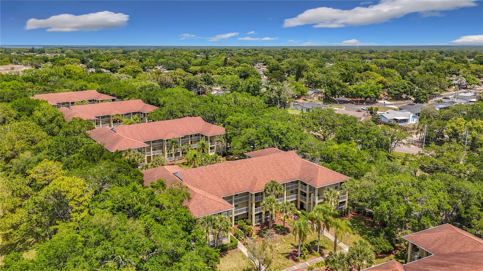 MEADOWLAKE PALM HARBOR CONDO - Residential
