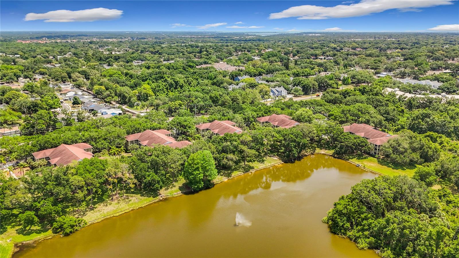 MEADOWLAKE PALM HARBOR CONDO - Residential