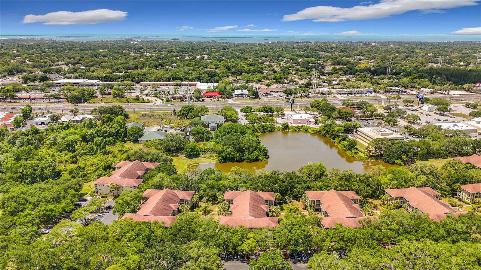 MEADOWLAKE PALM HARBOR CONDO - Residential
