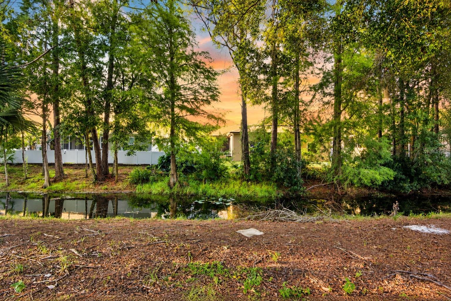 7207 OTTER CREEK DRIVE