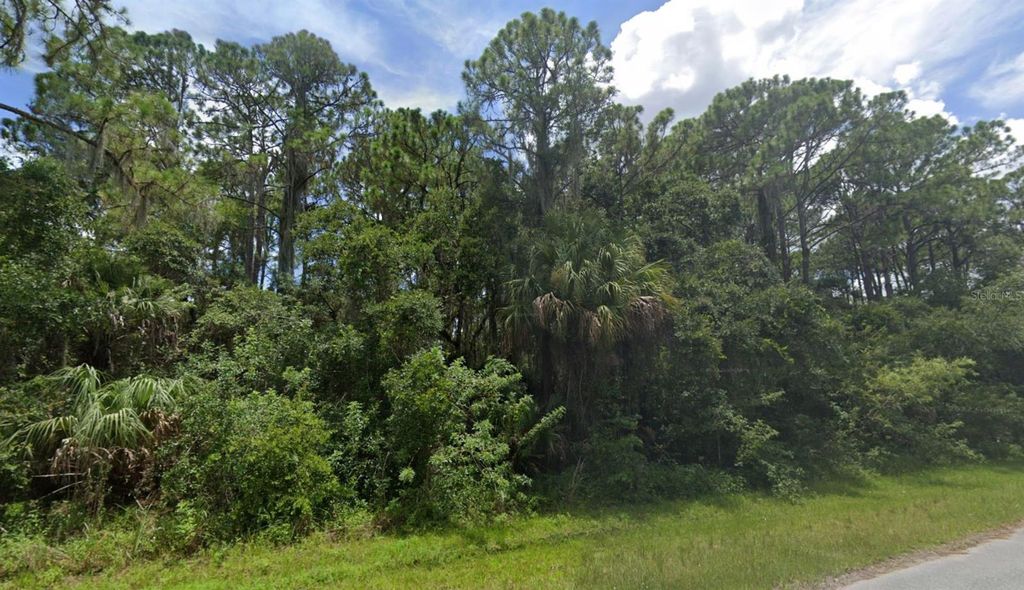 Photo of 13986 Dunlap Avenue, Port Charlotte, FL 33953 (MLS # D6143622)