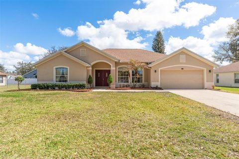 Photo of 2025 S Fish Camp Road, Grand Island, FL 32735 (MLS # O6384173)