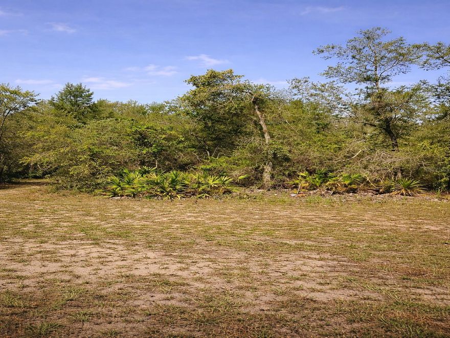 Discover the perfect opportunity to build your dream home on this spacious 110 x 200 residential lot located in this peaceful area
No flood zone
Generous lot size with plenty of room to design your ideal home
Natural surroundings with room for outdoor living, storage, or additional features.