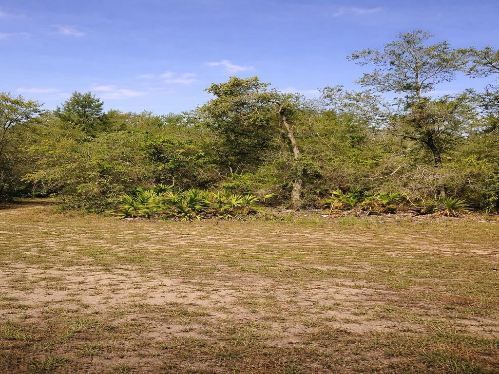 Photo of Shetland Drive, Lake Wales, FL 33898 (MLS # TB8499953)