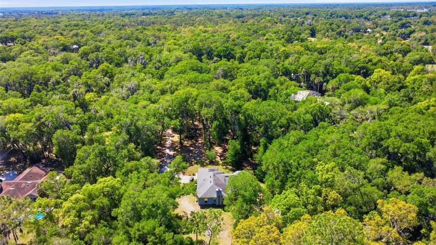 If you’re looking for privacy, look no further, this property is a rare Florida gem that balances rustic charm with modern luxury. Sprawling 2.79 acres that feel much bigger wrapped in tranquility and sounds of the singing birds. Beautiful oak trees bring much needed shade in those hot summer days. Step into an airy, sanctuary featuring soaring vaulted ceilings and a split-bedroom layout designed for privacy. The heart of the home is a stunningly remodeled kitchen outfitted with sleek stainless-steel appliances, flowing into a cozy family room anchored by a warm fireplace. Elegant luxury vinyl plank and tile flooring run throughout, complemented by updated fixtures that add a touch of modern sophistication. Experience the ultimate outdoor lifestyle on your massive 16x28 back patio, complete with a full outdoor kitchen, it’s the perfect stage for sunset dinners. For the hobbyist or adventurer, this estate is a dream: a 12x20 workshop, multiple storage sheds, and a towering 20x30 detached carport ready for your RV, boat, or tractor. With no HOA and horse-friendly zoning, the possibilities are limitless. The Wizarding Guest Cottage, prepare to be spellbound by the one-of-a-kind, Harry Potter-inspired Guest Cottage (12x32). This isn't just a cottage, it’s an experience. Featuring handpicked cedar ceilings, a kitchenette, a cozy lounge, and whimsical sleeping quarters including twin beds and a reading nook, it is the perfect space for guests, a home office, or a high-demand themed rental. Tucked away on a quiet, private road with its own internal trail system, you are perfectly positioned between the world-famous Atlantic beaches and the vibrant energy of Orlando. This is a lifestyle retreat that truly has it all. Call today for your private showing!