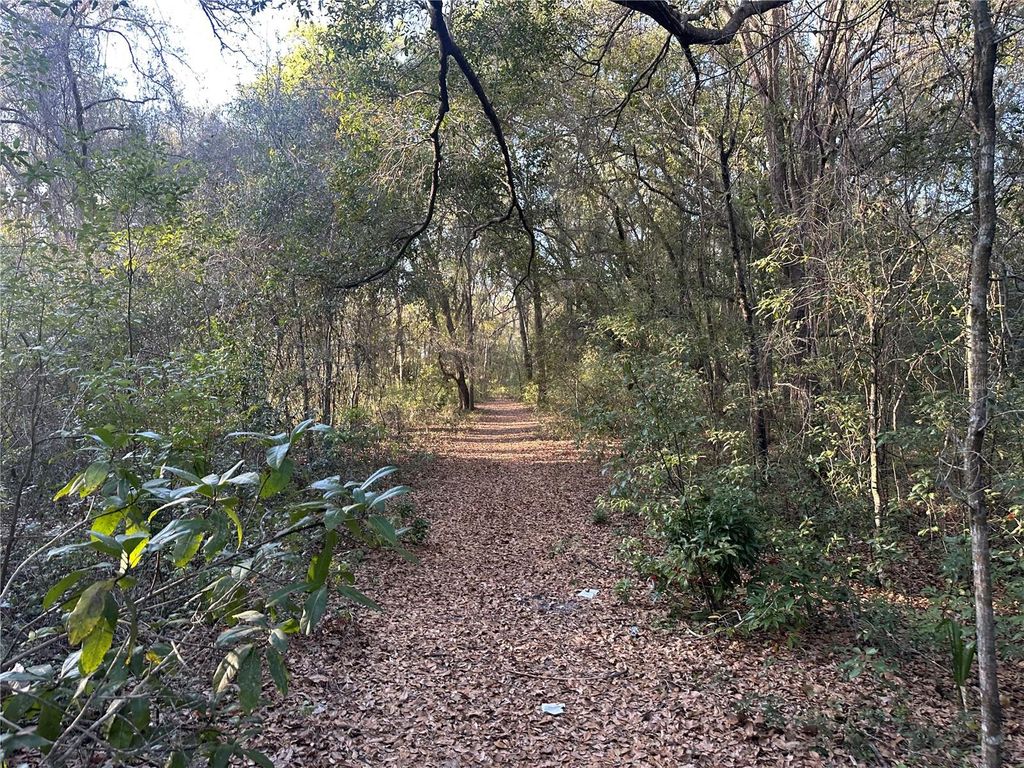 Photo of Thomas Avenue, Leesburg, FL 34748 (MLS # G5105054)