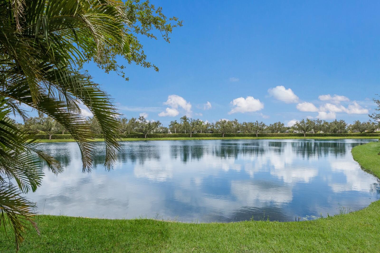 12031 LONGVIEW LAKE CIRCLE