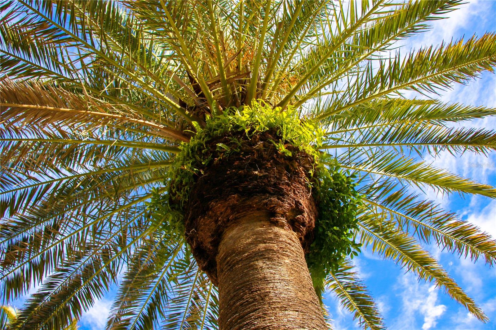 WESTCHESTER I - Residential Lease