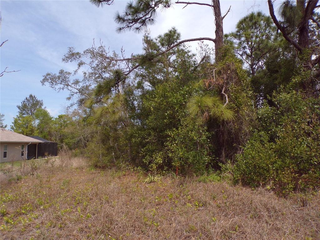 Photo of 4582 Gondolier Road, Spring Hill, FL 34609 (MLS # W7881839)