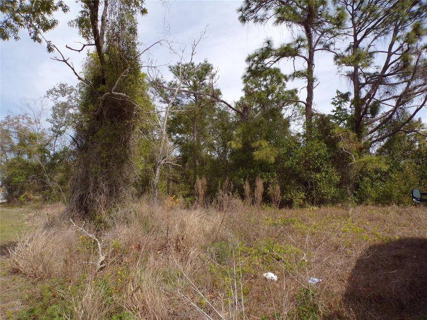 Build your Dream home and enjoy the Florida good life. Nice buildable lot in a residential area. Great location near Weeki Wachee Springs and easy commute to Orlando and Tampa International Airport, Clearwater and Saint Petersburg.