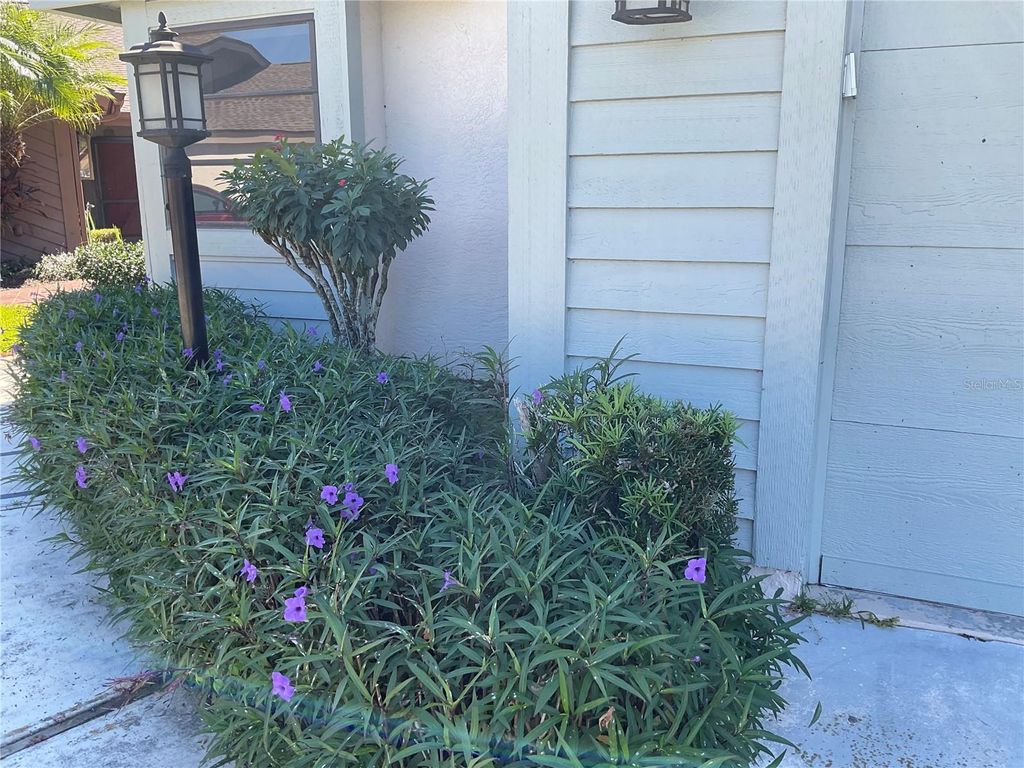 Photo of 7861 Pine Trace Drive #7861, Sarasota, FL 34243 (MLS # A4625460)