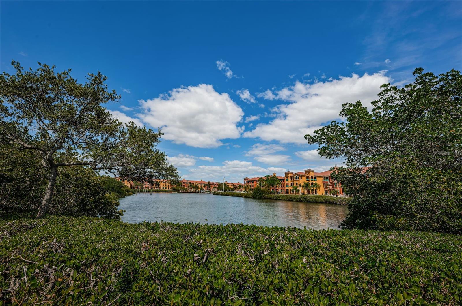 GRAND BELLAGIO AT BAYWATCH CONDO THE - Residential