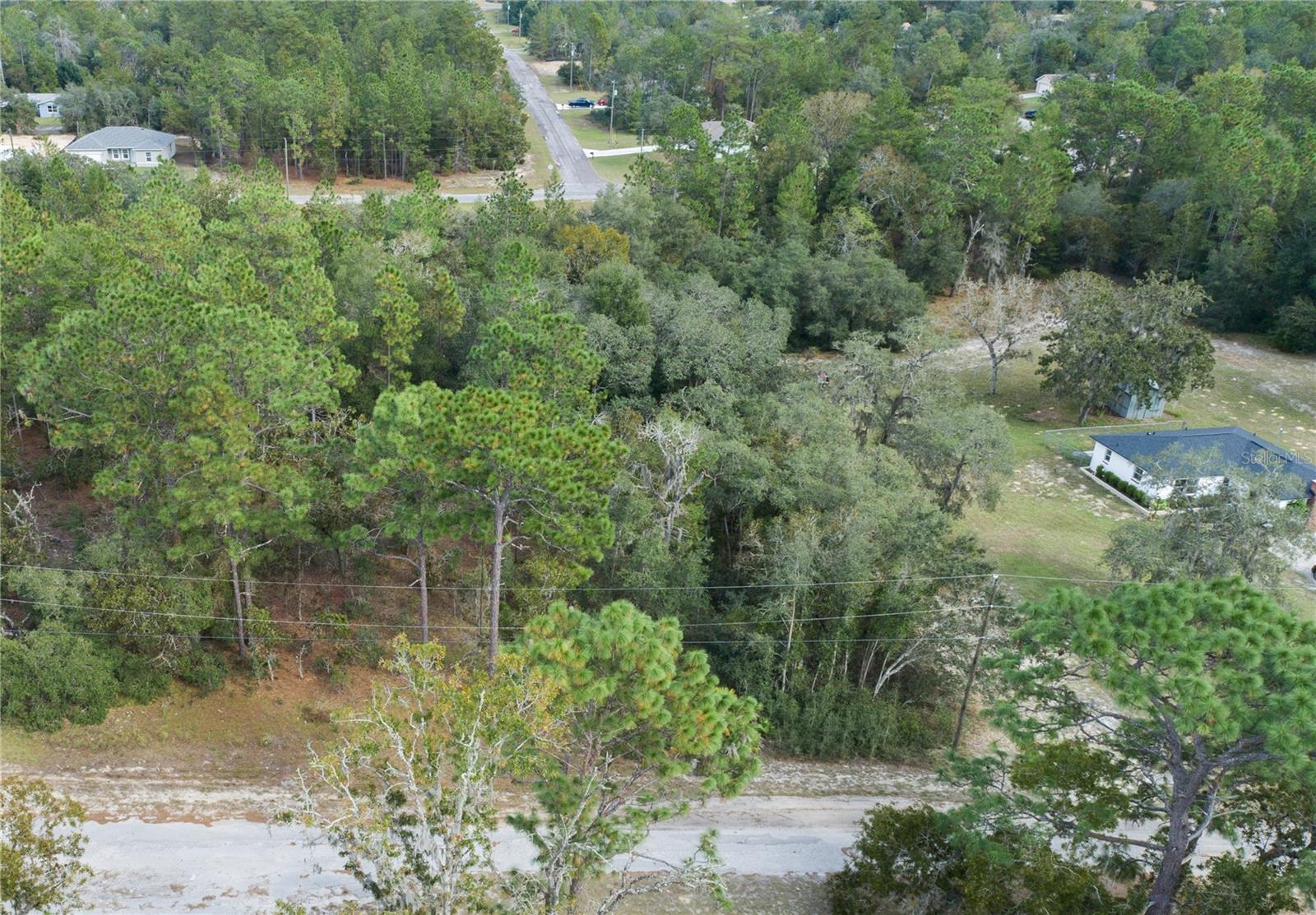 10891 N SHADY HILL POINT
