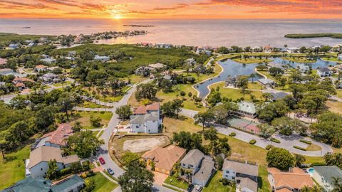 Photo of 2008 N Pointe Alexis Drive, Tarpon Springs, FL 34689 (MLS # TB8503309)