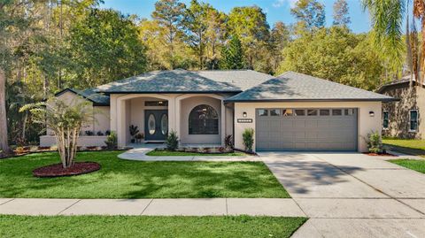 Photo of 4853 Crestknoll Lane, New Port Richey, FL 34653 (MLS # TB8445985)