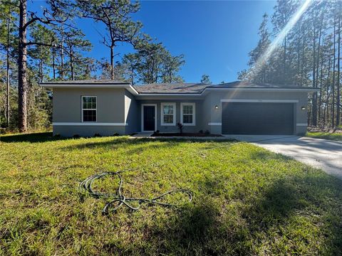 A home in CITRUS SPRINGS